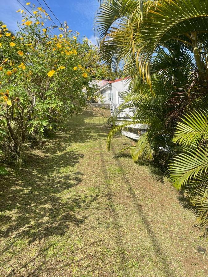 Joyaux De Tivoli Villa Fort-de-France Eksteriør billede
